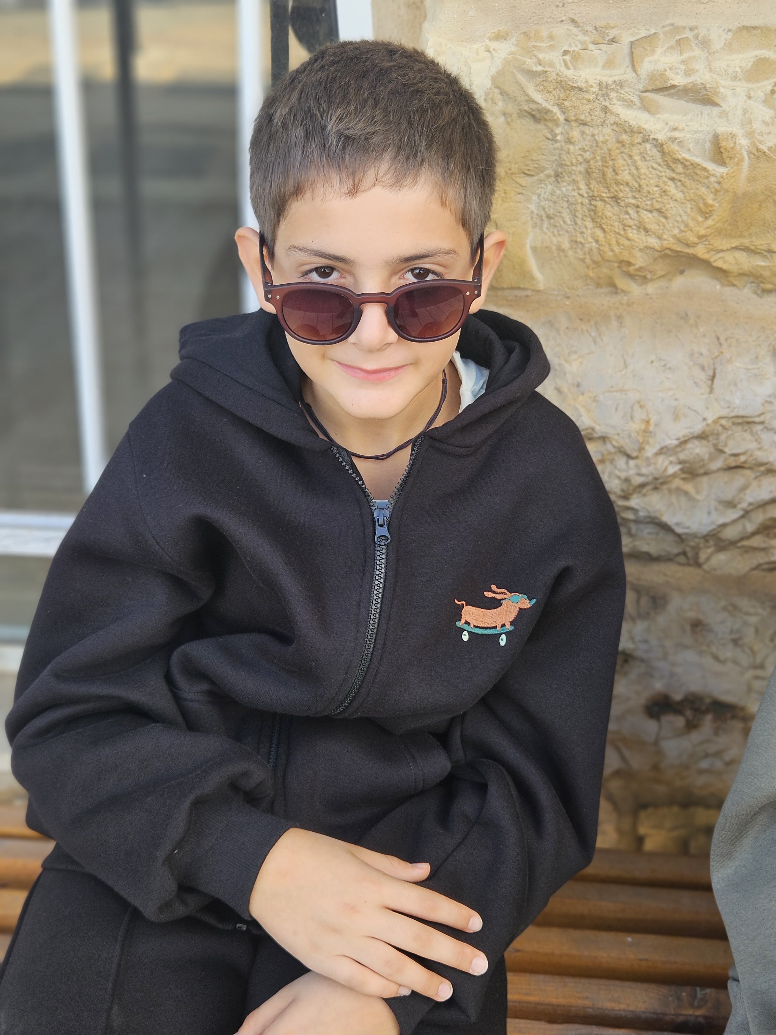 Dog Embroidered Fleece Jacket with Hoodie