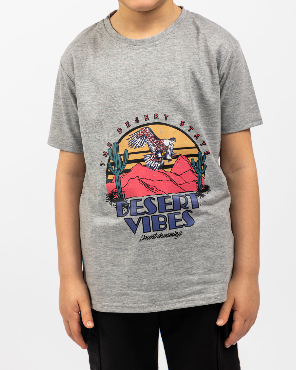 Printed T-shirt For Boys - Grey - Pear