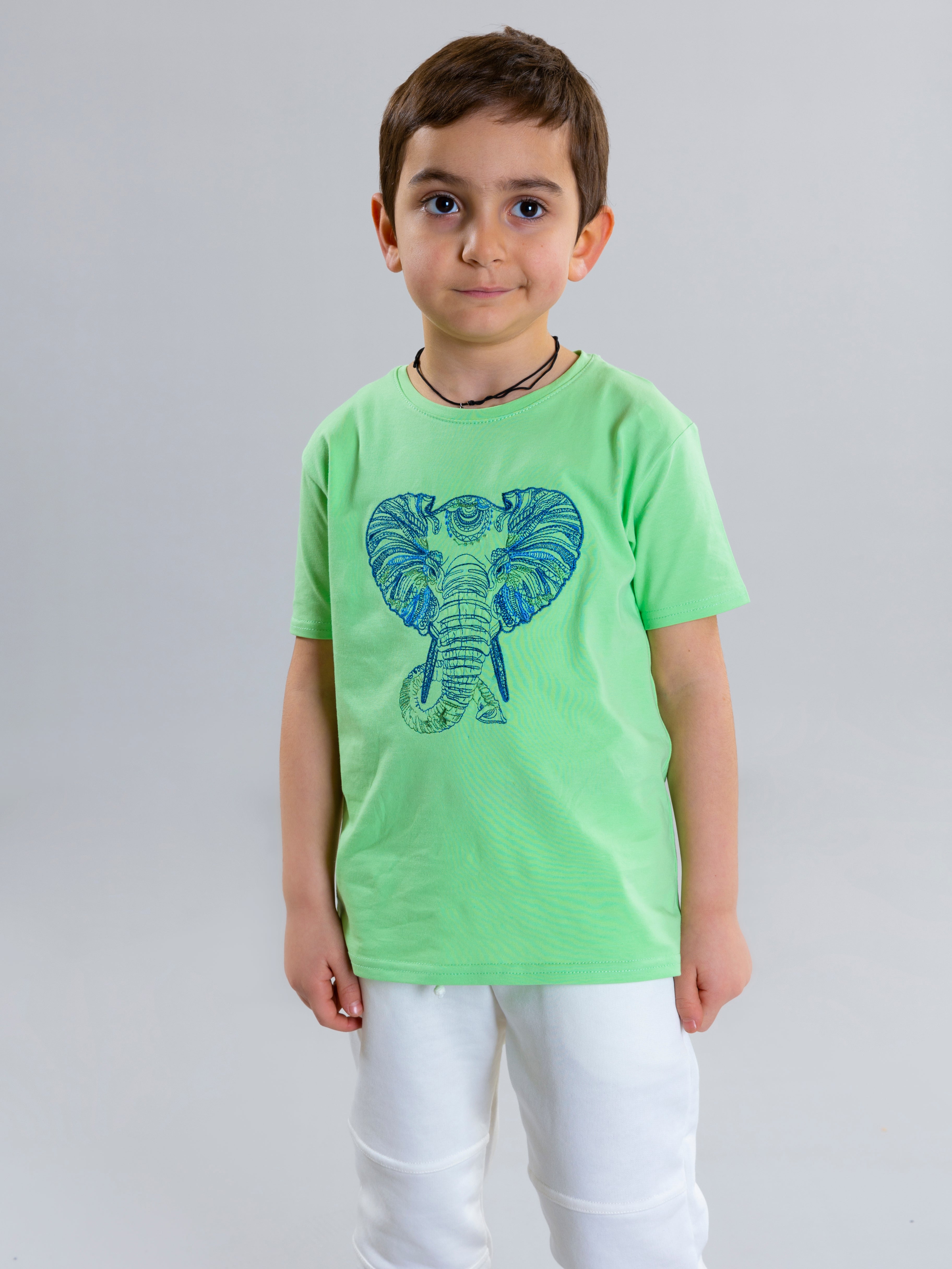 Elephant Embroidered Unisex T-Shirt - Light Green