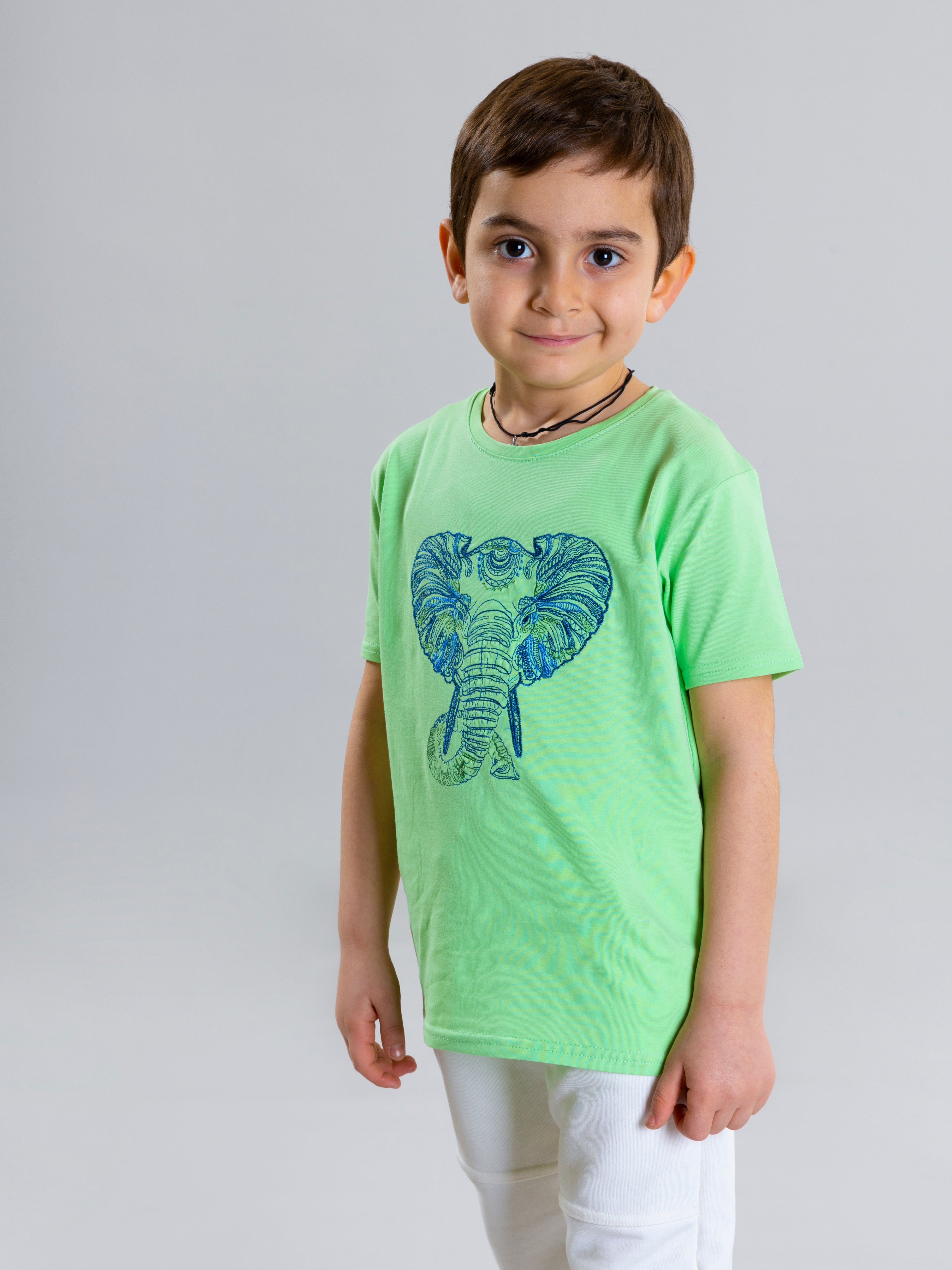 Elephant Embroidered Unisex T-Shirt - Light Green